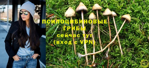 PSILOCYBIN Арсеньев